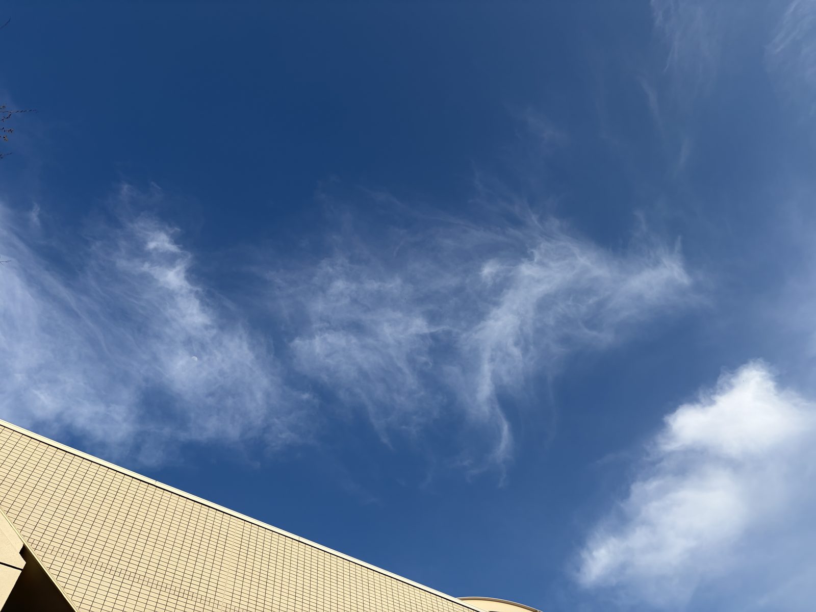 宮崎の青い空